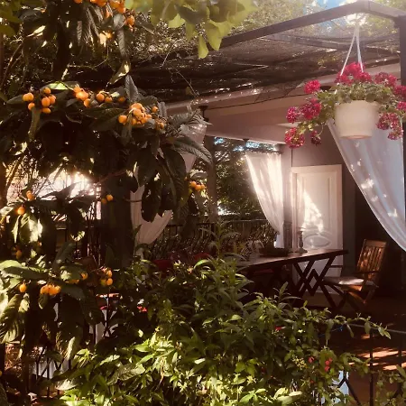 호텔 Sakiz Kizi Butik Çeşme